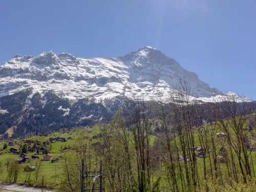 Apartment Eiger.1