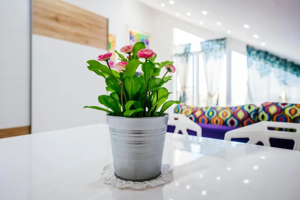 Boutique Villa Nirvana 2, Proboj 25