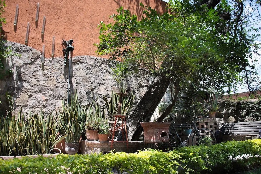 La Libelula