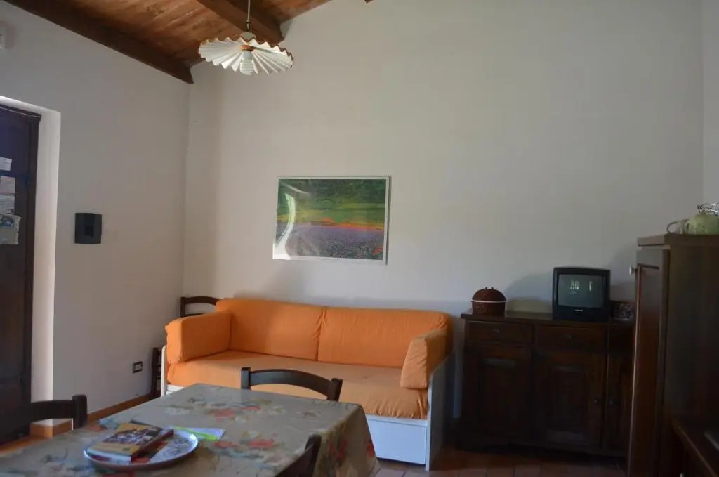 Il Vigneto