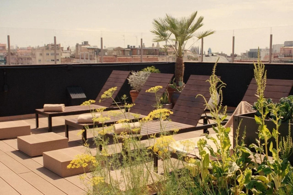 Pol & Grace Hotel