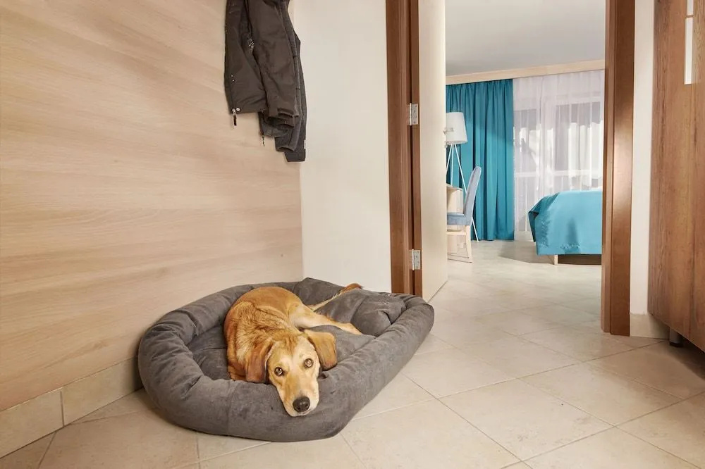 Hotel Convent - Hotel & Resort Adria Ankaran