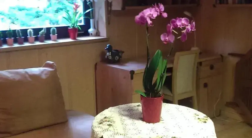 Apartment Falista