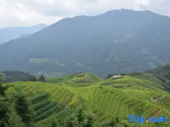 Longsheng Qishanyue Homestay (Qixing Banyue Viewing Platform)