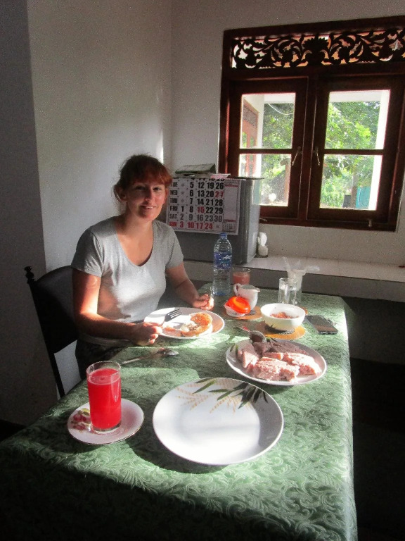 Green Herbal Ayurvedic Eco-Lodge