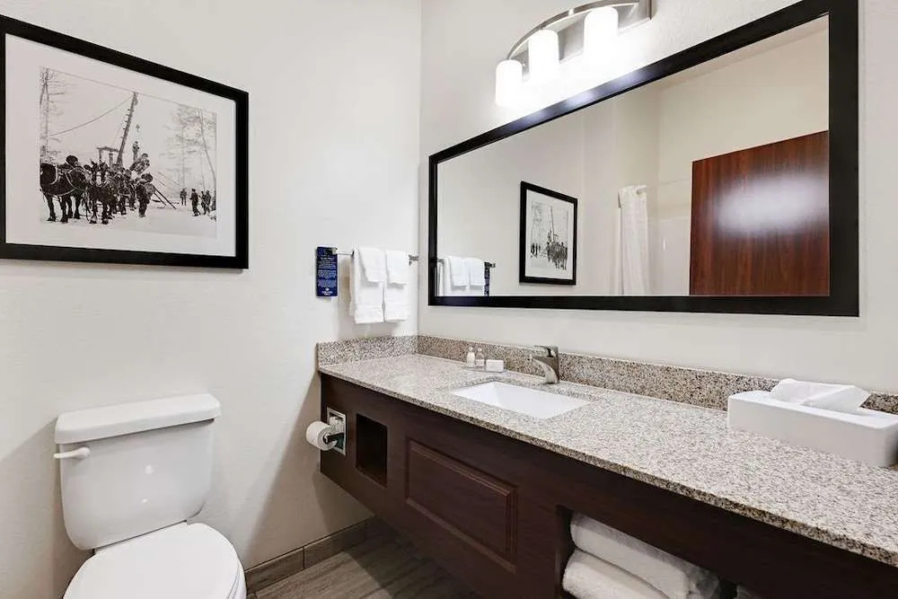 Cobblestone Hotel & Suites - Mosinee