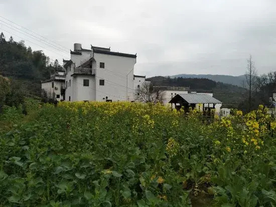 Jiangling flower village