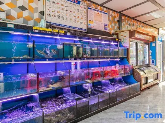 Zhoushan Peach Blossom Island Shuangyue Lanyuan Homestay