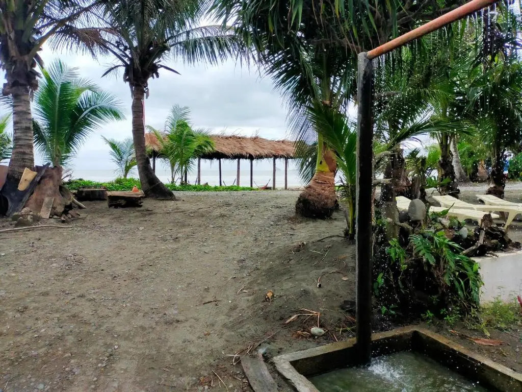 North Shore Surf Camp
