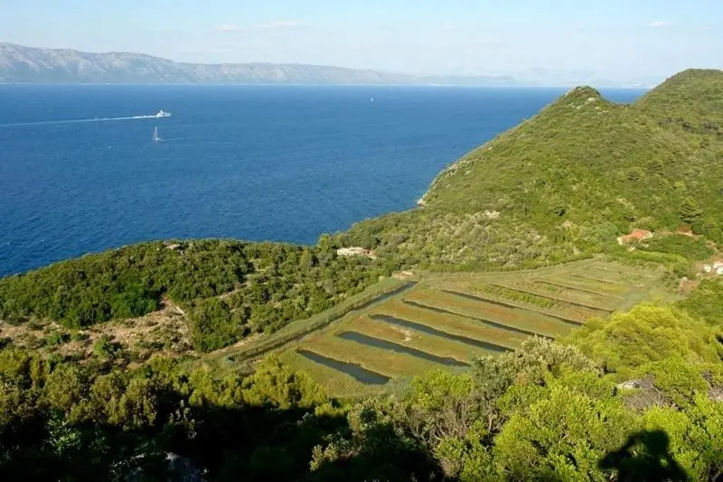 Villa Radulj