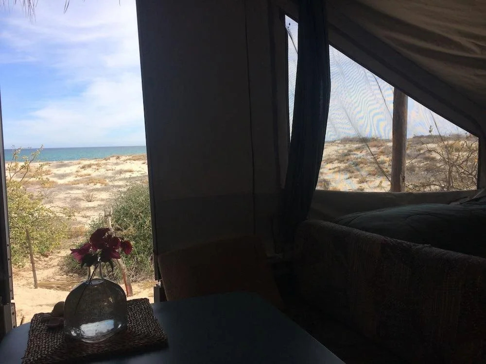 Cabo Pulmo Eco Palapa, a Gated Resort on Punta Los Mangles