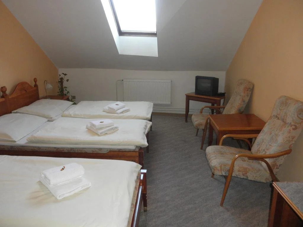 Hotel Napoleon