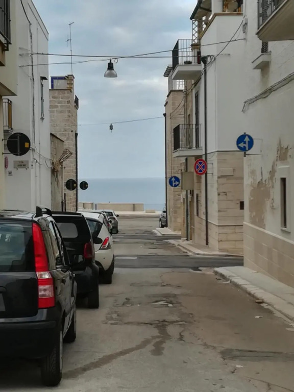 Via Roma 224