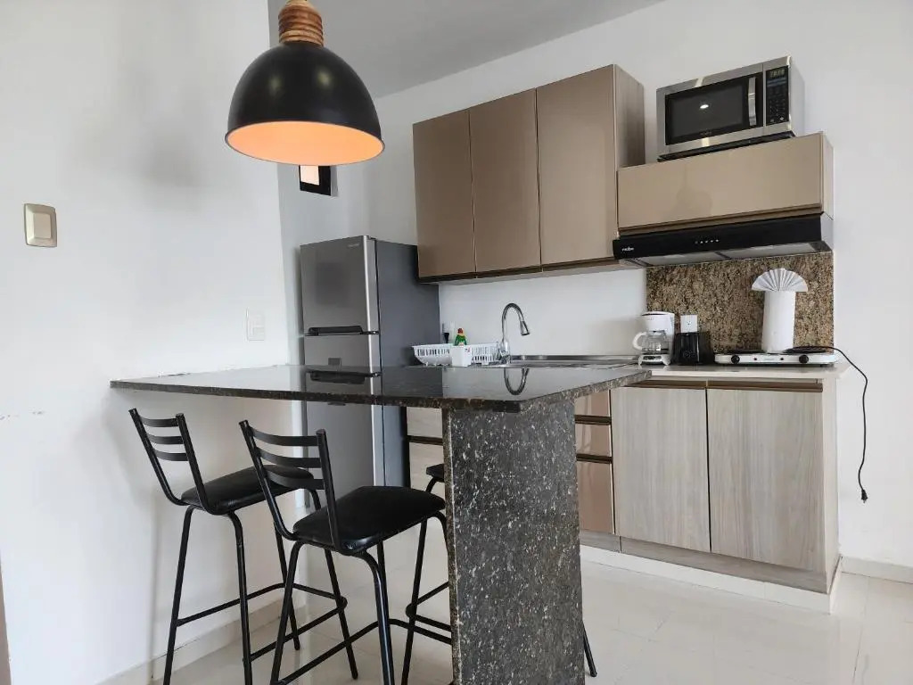 Ocean and city view rooftop, apartment 2BR 301