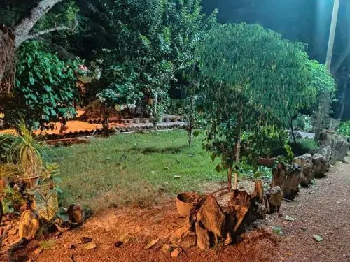 Vamoose Shantiniketan Bichitrita