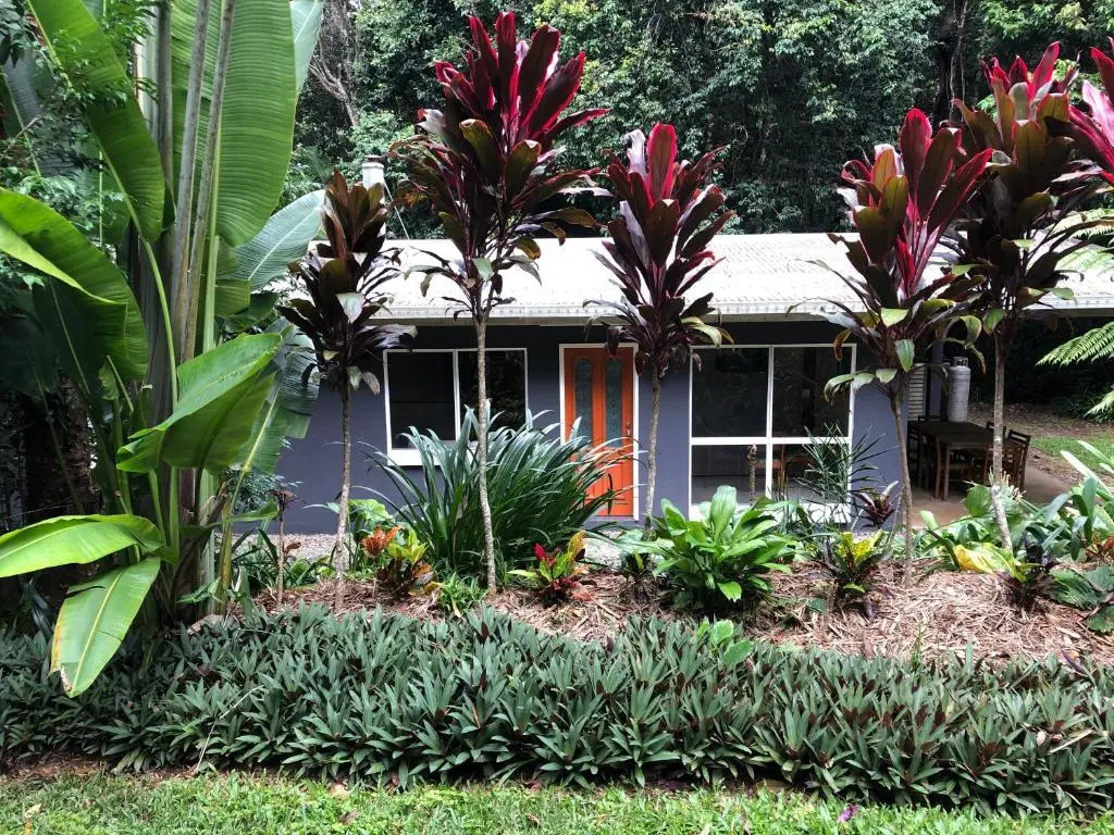 Honeybee House Cottage in the Rainforest