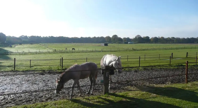 Slaopen en Stoet