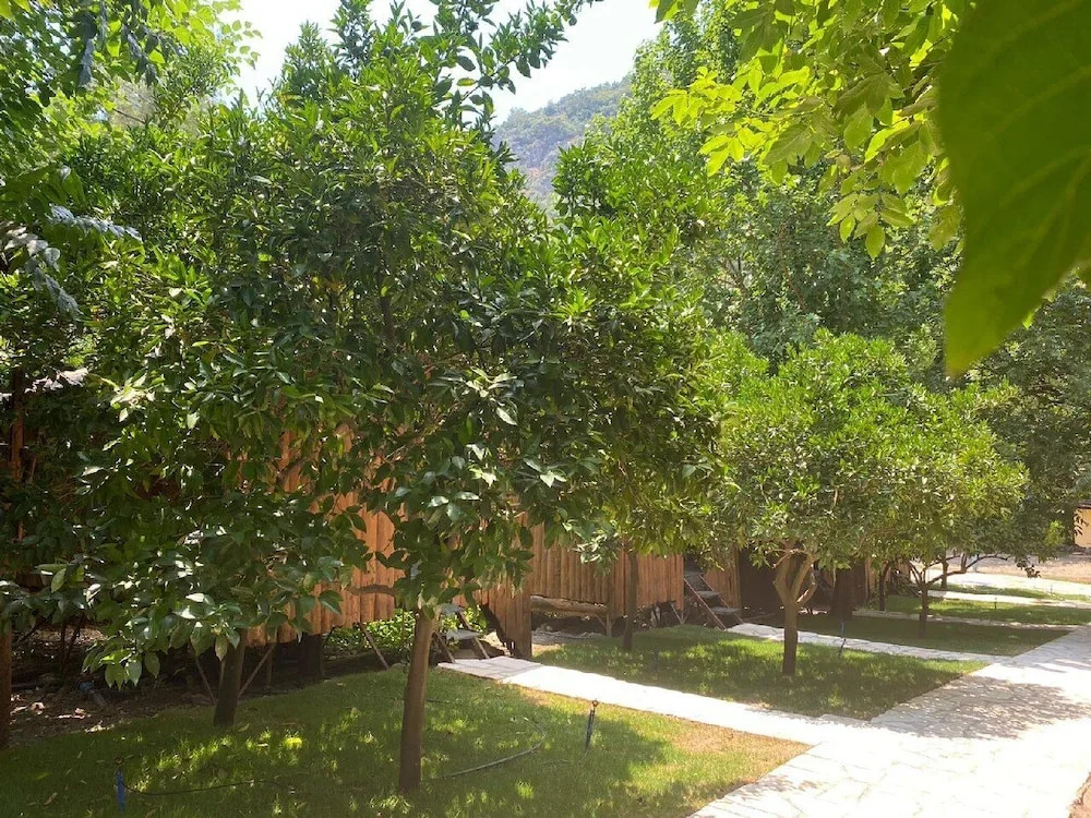 Olympos Camlık Pension
