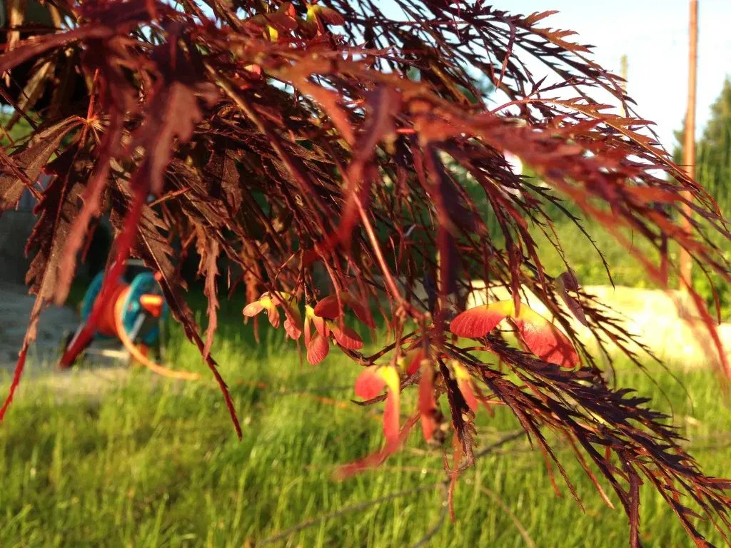 Zapovedni Rai