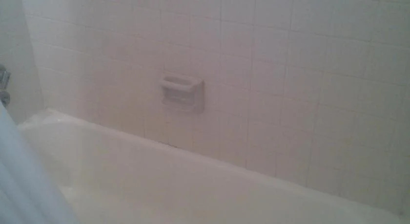 Quality Inn & Suites Jackson