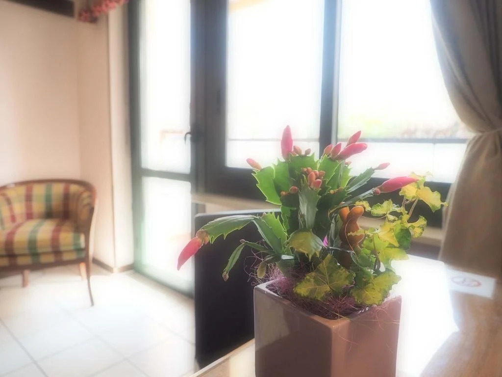 Hotel Patrizietta