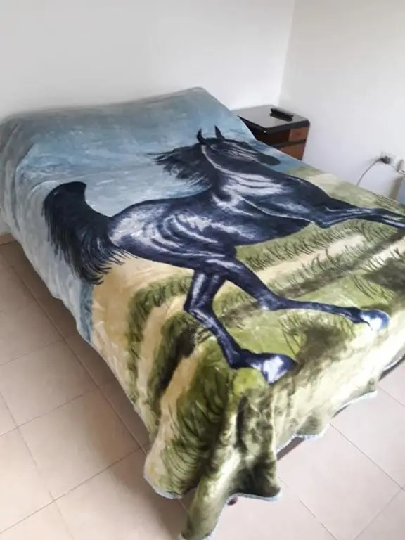 DUPLEX - COCHERA CUBIERTA