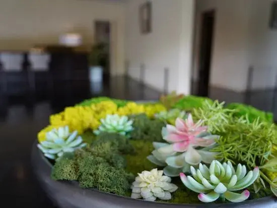 Yuanqi Art Homestay