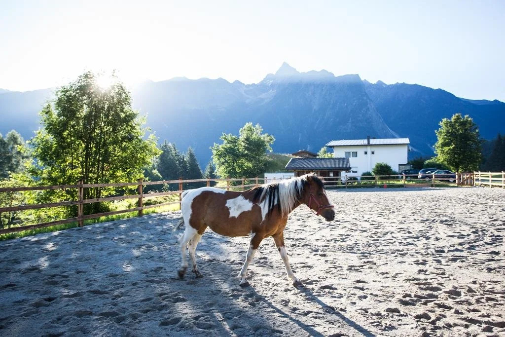 Ferienwohnungen Ötztal