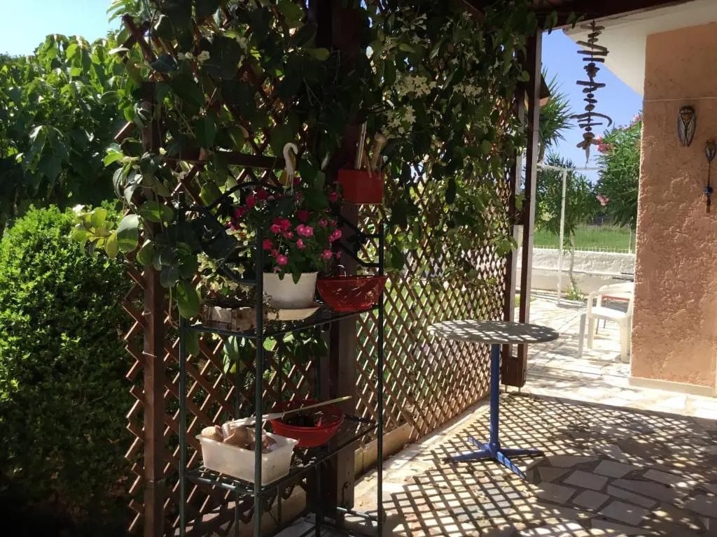 Studio Xelidonia