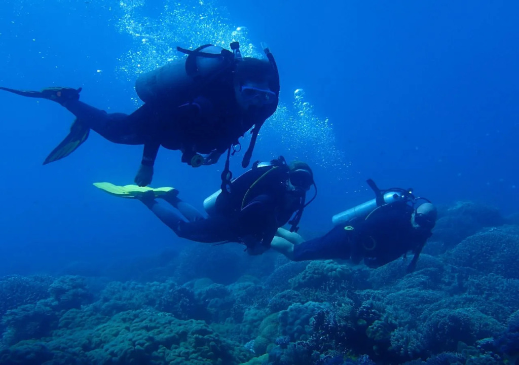 Liquid Dive Resort