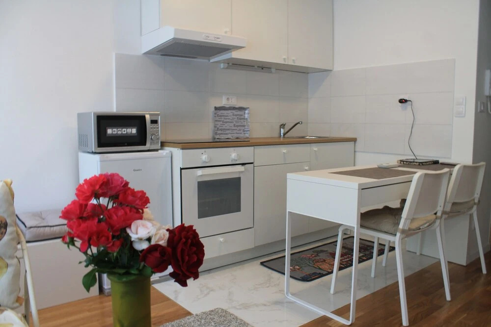 Studio Apartment Mali Ty