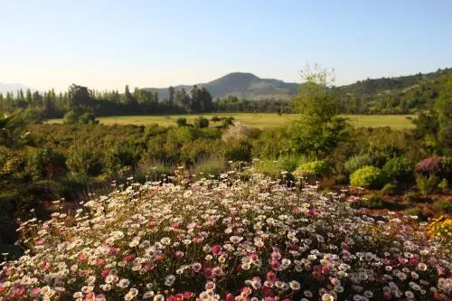 Colchagua Camp