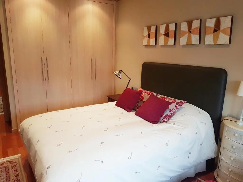 Pontevedra Luxury Apartment