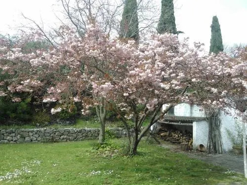 B&B Villa Ada