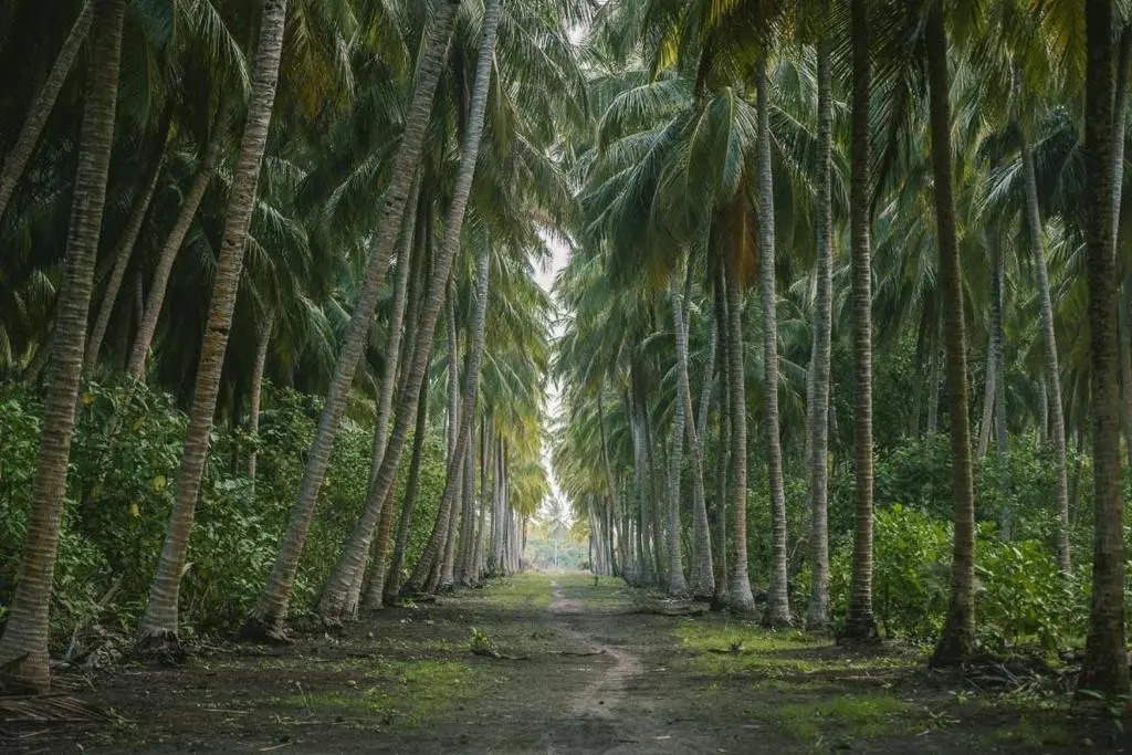 Long Beach Laamu Hotel