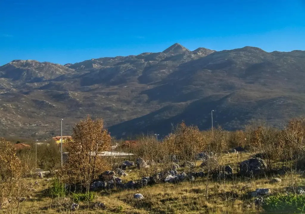 Apartman Nature
