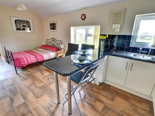 Holiday Home Cwmduad