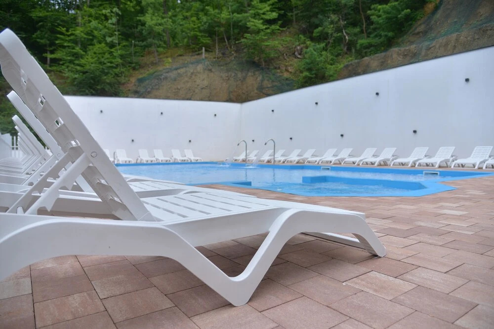 Pollock Hotel Ribarska Banja