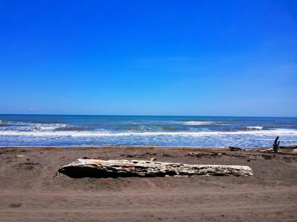 Casa turtle Bogue