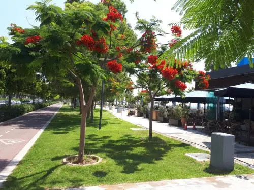 Sea Front & City Center, Amazing Sea View