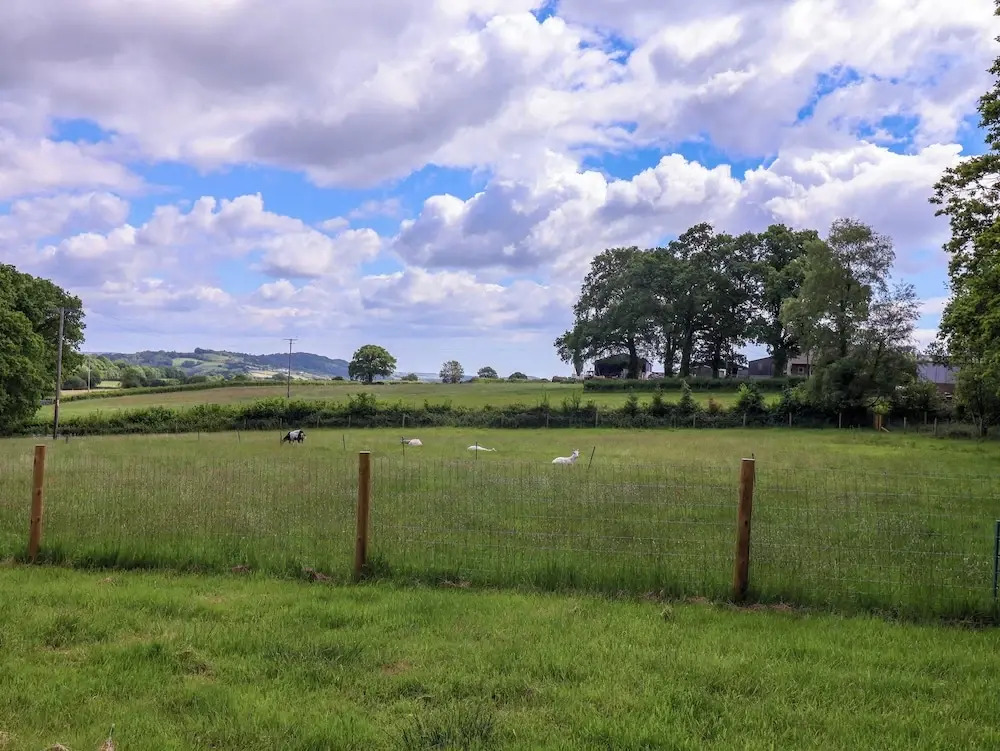 Quantock Barn