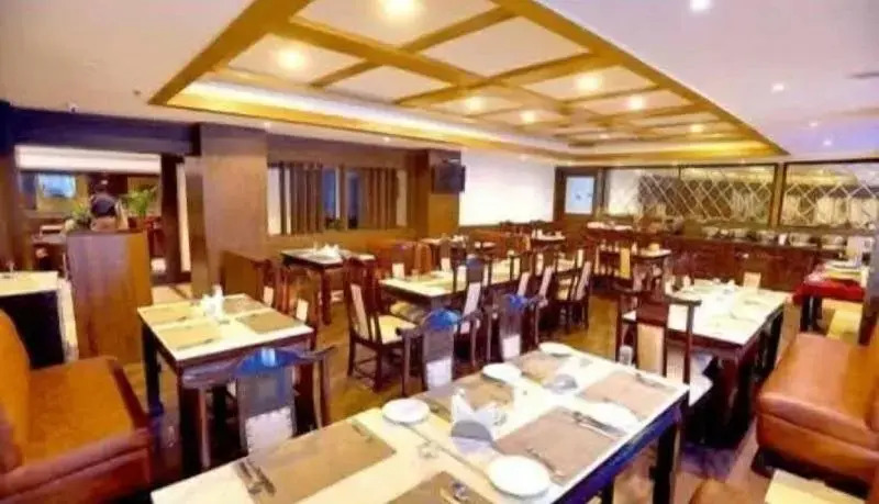 HOTEL PITRASHISH PRIDE IGI Intl AIRPORT DELHI