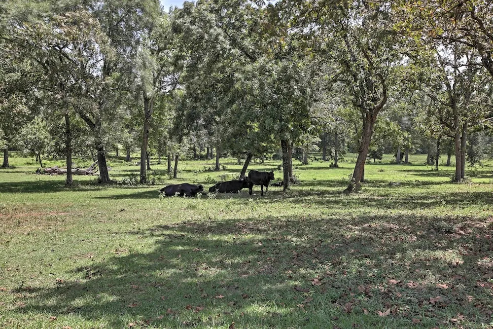 Tranquil Plantersville Cabin: Farm Animals On-site