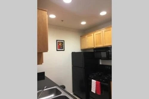 Downtown Resort Style, Unit 2O