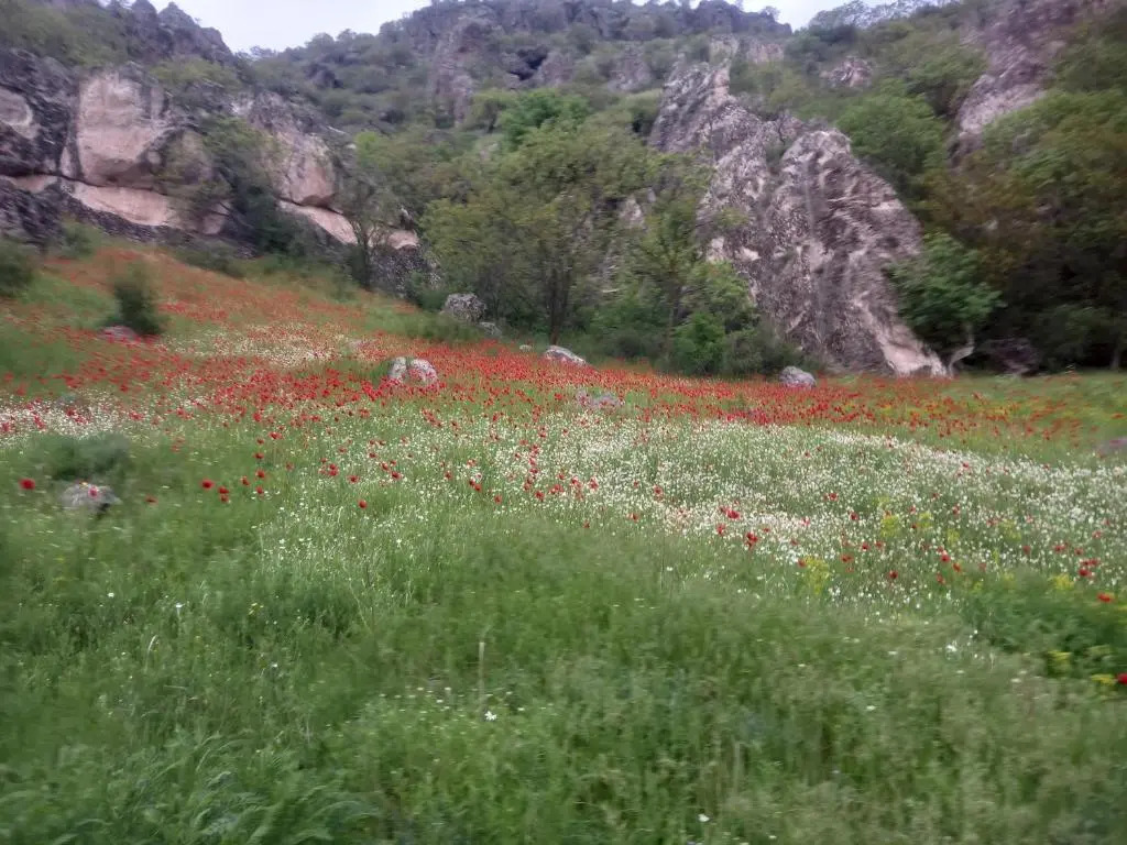 Vardzia Сhachkari