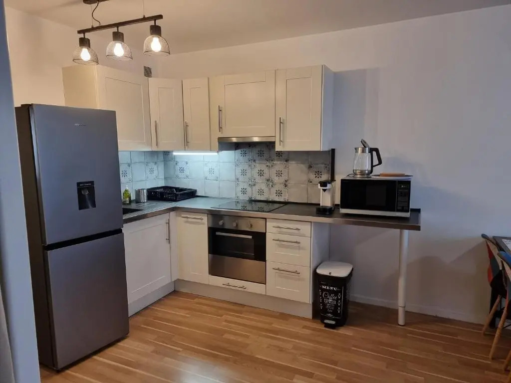 Appartement T2 45 M2 Meublé 3 étoiles tout confort hyper centre de Dax