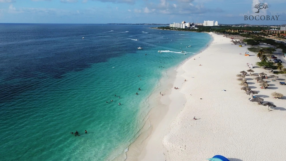 Aracari Residences by Bocobay - Luxury Condos 5 min Walk to Ritz and Palm Beach