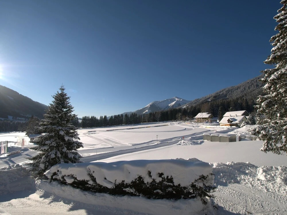 Charming Chalet in Hohentauern near Ski Lift