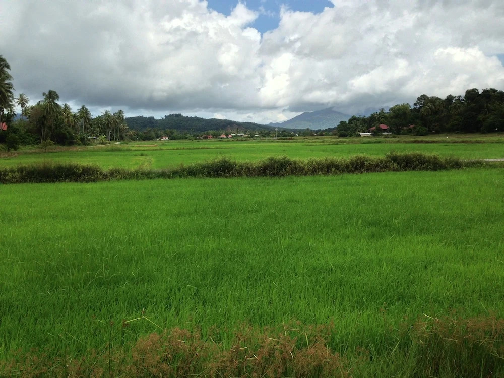 The Paddy Field - Private Pool Villas