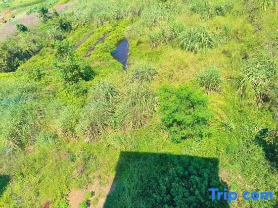 Qingyuan Qingxin Shimai Wenquan Homestay
